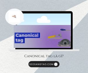 Canonical tag là gì?