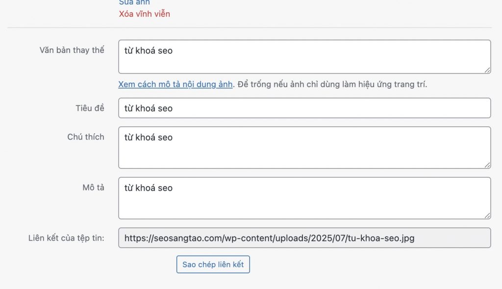 alt seo