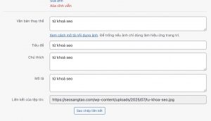 alt seo