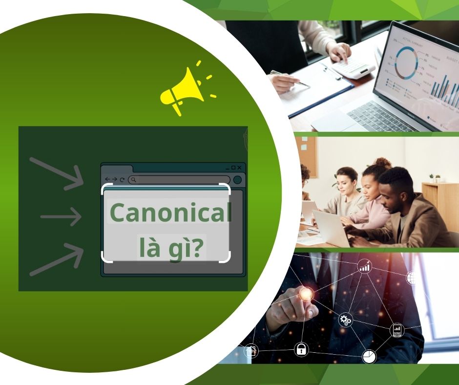 canonical là gì